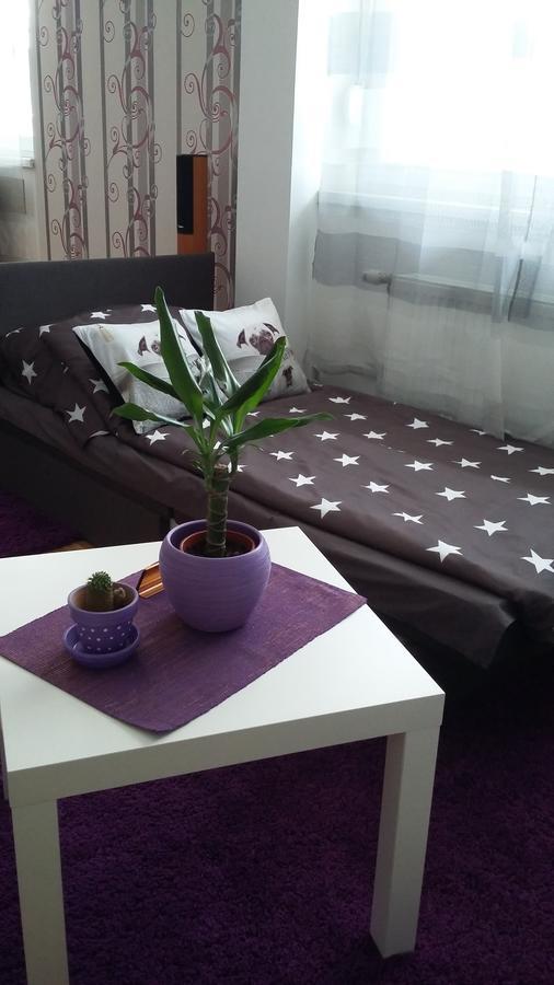 Studio Lia Appartement Novi Sad Buitenkant foto